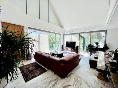 For Sale - The Holland Collection
