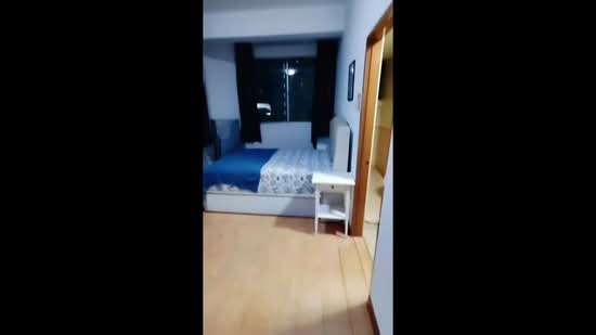 Elizabeth Tower, 14 Mount Elizabeth, Room Rental, 400 sqft, Condominium For Rent, by Angelina Tao, 24334098 - PropertyGuru.com.sg