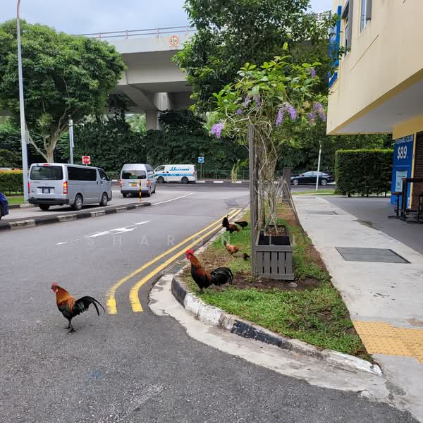 The Foresta @ Mount Faber, 106 Wishart Road, 1 Bedroom, 431 sqft, Condominium For Rent, by Sharon Lim, 24342537 - PropertyGuru.com.sg