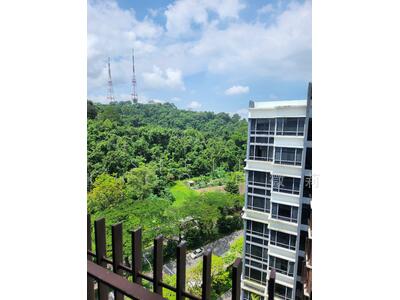 For Sale - The Lanai