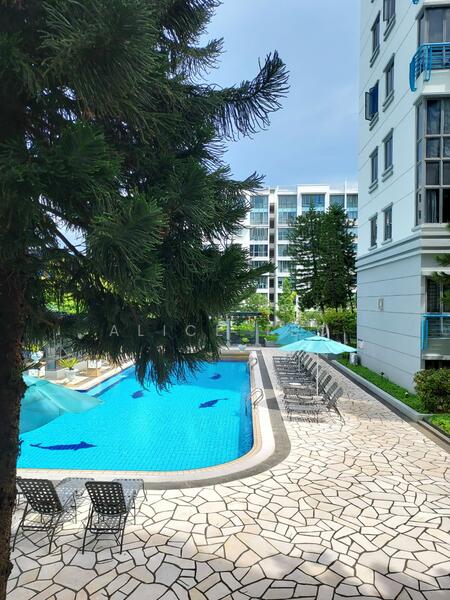 Aston Mansions, 3 Lorong 42 Geylang, Room Rental, 100 sqft, Apartment For Rent, by Alice Teo, 24351217 - PropertyGuru.com.sg