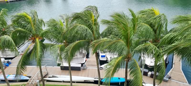 The Berth by the Cove, 216 Ocean Drive, 3 Bedrooms, 1,668 sqft, Condominium For Rent, by Belle Lee, 24353295 - PropertyGuru.com.sg