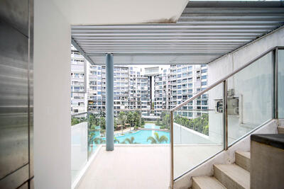 For Sale - Skies Miltonia