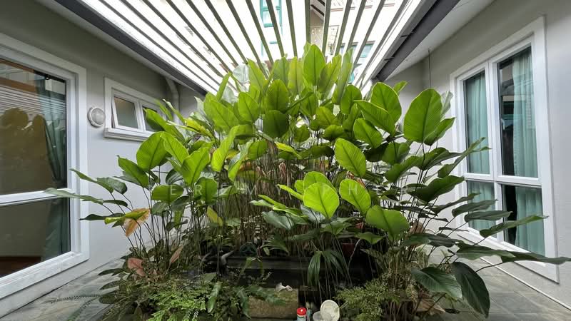 Charming Semi-D @ Serangoon Garden Estate ⭐️ 优质豪华半独立式洋房 Semi-Detached House For Sale at S$ 8,500,000 | PropertyGuru Singapore