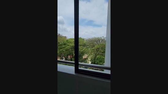 532 Bedok North Street 3, 532 Bedok North Street 3, Bedok / Upper East Coast, Room Rental, 250 sqft, HDB Flat For Rent, by Mandhy Lee 李艾蓮, 24356534 - PropertyGuru.com.sg