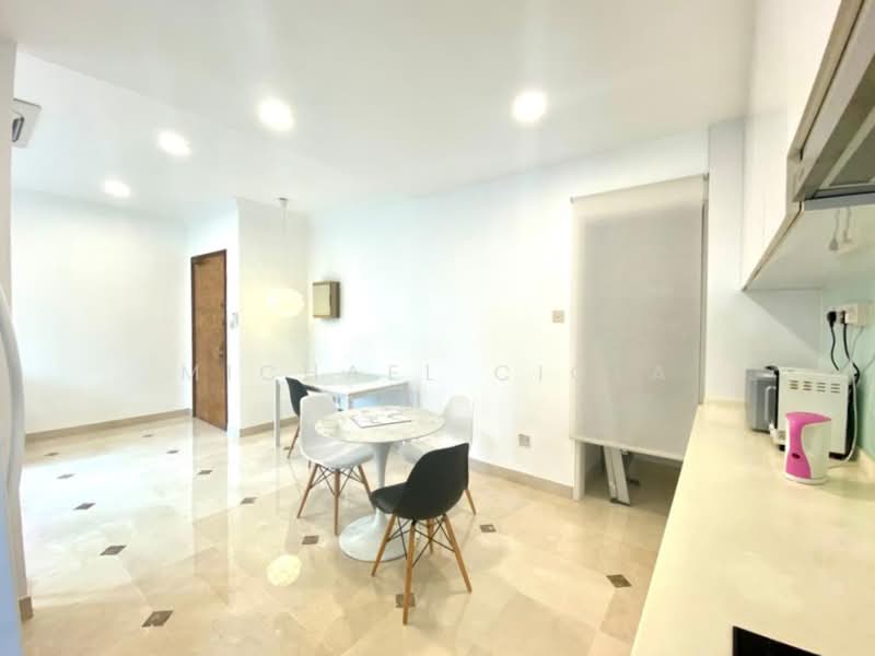 Peppermint Grove, 45 Newton Road, 1 Bedroom, 571 sqft, Condominium For Rent, by Michael Ciola, 24359130 - PropertyGuru.com.sg