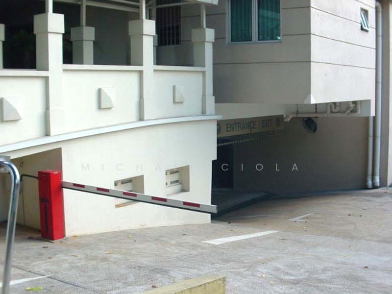 Peppermint Grove, 45 Newton Road, 1 Bedroom, 571 sqft, Condominium For Rent, by Michael Ciola, 24359130 - PropertyGuru.com.sg