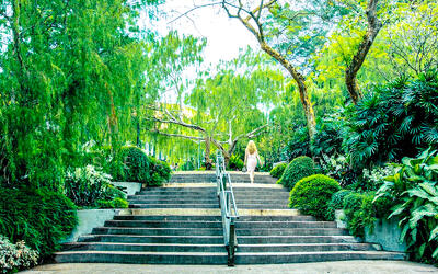 For Rent - ⭐FINEST⭐ Extensive Variety of Good Class Bungalows