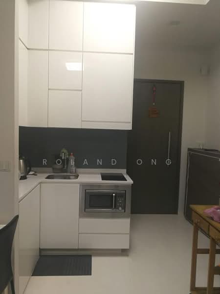 One Dusun Residences, 1 Jalan Dusun, 1 Bedroom, 484 sqft, Apartment For Rent, by Roland Ong, 24375158 - PropertyGuru.com.sg