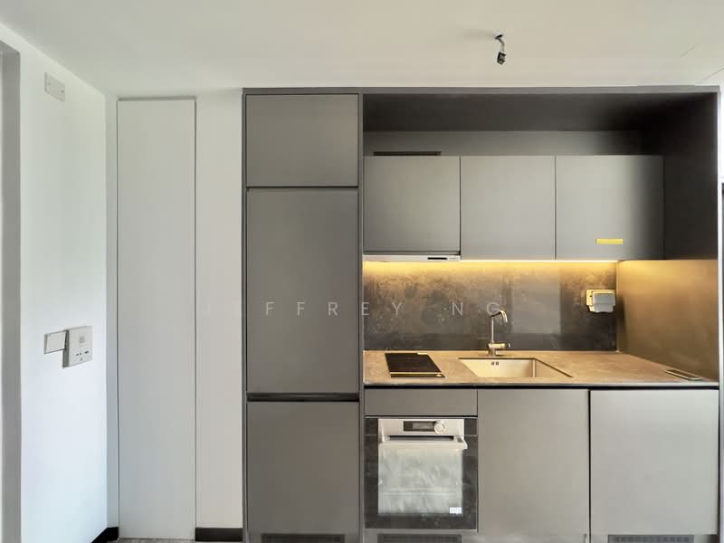 120 Grange, 120 Grange Road, 1 Bedroom, 420 sqft, Condominium For Rent, by Jeffrey Ng, 24382963 - PropertyGuru.com.sg