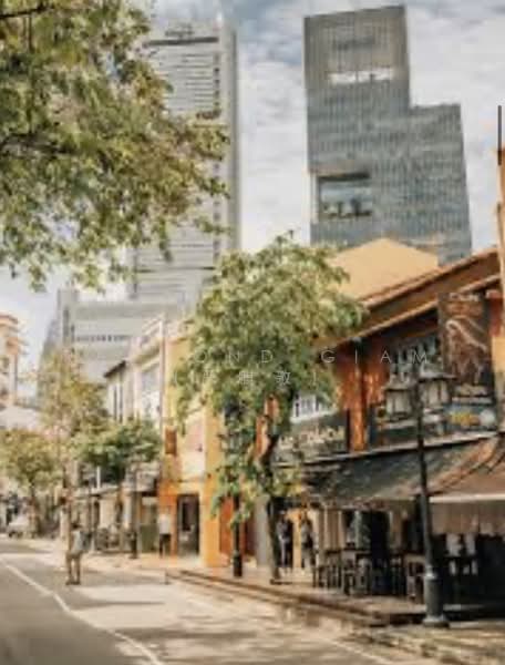 Rare 999 Shophouse In Prime Circular Road: Your Gateway To Prosperity, Circular Road, 5,666 sqft, Shop / Shophouse For Sale, by Raymond Giam (严麒敬), 24383365 - CommercialGuru.com.sg