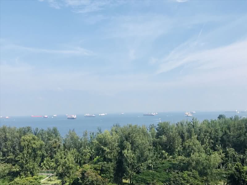 The Sovereign, 99 Meyer Road, 4 Bedrooms, 3,305 sqft, Condominium For Rent, by Nain Gurnani, 24384447 - PropertyGuru.com.sg
