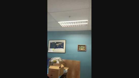 Bedok Industrial Park E, Bedok / Upper East Coast, 600 sqft, Factory / Workshop (B2) For Rent, by Esther Lim, 24386838 - CommercialGuru.com.sg