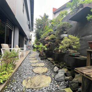 For Sale - Designer decor 2.5 storey semi detached Upper Thomson Road