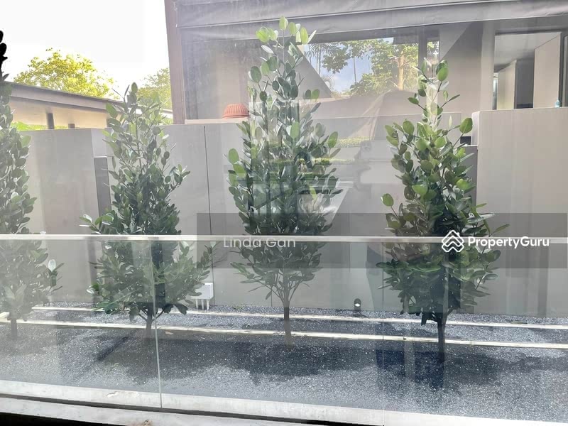 For Sale - ✳️ NAMLY CORONATION HOLLAND DUCHESS ✳️