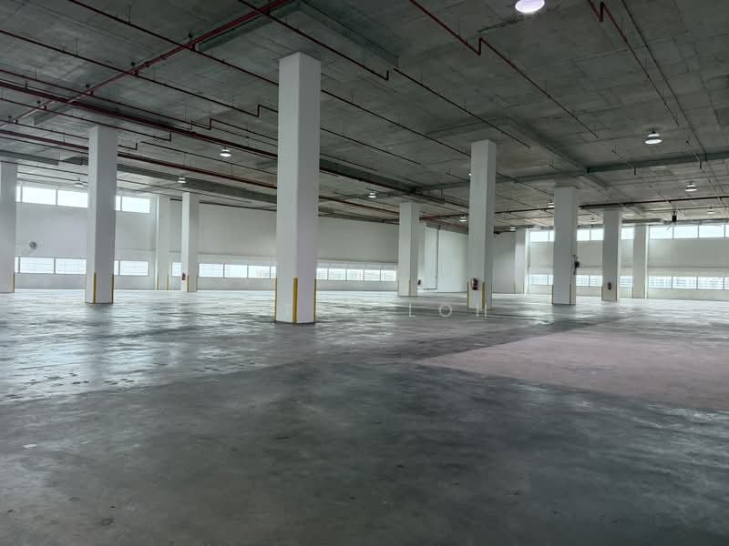 Near Changi Airport - 10m Clear Height, Dedicated Bays, , 50,400 sqft, Warehouse For Rent, by Betsy Loh, 24396918 - CommercialGuru.com.sg