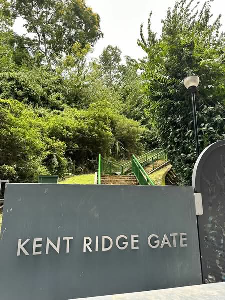 Kent Ridge Hill Residences, 68A South Buona Vista Road, 1 Bedroom, 517 sqft, Condominium For Rent, by HUANG YISHU (ANDY HUANG), 24430005 - PropertyGuru.com.sg