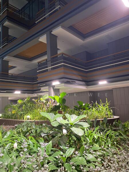 Next to Google office space with seaview, , 5,000 sqft, Business / Science Park For Rent, by Leow Kok Wee, 24435637 - CommercialGuru.com.sg