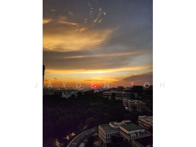 For Sale - Normanton Park