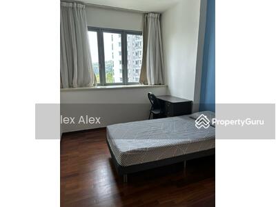 For Rent - The Madeira