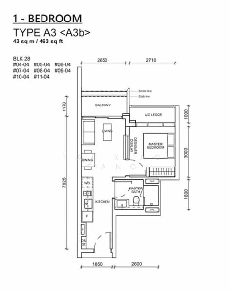 Haus On Handy, 28 Handy Road, 1 Bedroom, 463 sqft, Condominium For Rent, by Tai Xiao Fang, 24454521 - PropertyGuru.com.sg