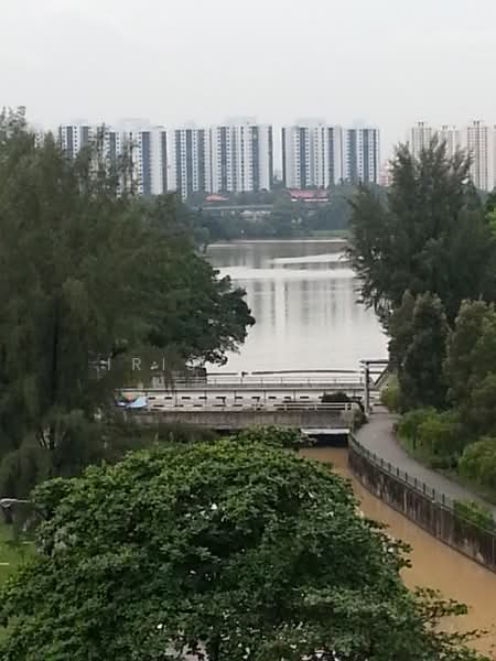 The Lakefront Residences, 46 Lakeside Drive, Room Rental, 200 sqft, Condominium For Rent, by Iris Leong, 24461739 - Scenery Lake View facing the quiet side - PropertyGuru.com.sg