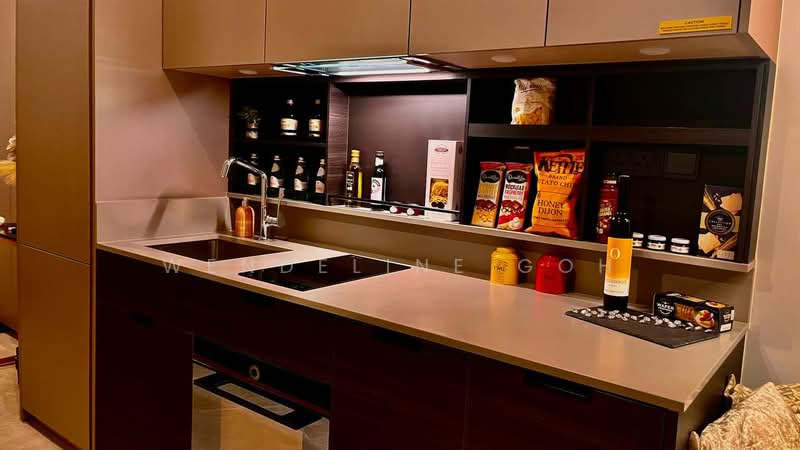 Haus On Handy, 28 Handy Road, 1 Bedroom, 463 sqft, Condominium For Rent, by Wendeline Goh, 24464336 - PropertyGuru.com.sg