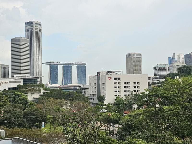 Haus On Handy, 28 Handy Road, Orchard / River Valley, 1 Bedroom, 474 sqft, Condominium For Rent, by Pauline Ong, 24468293 - PropertyGuru.com.sg