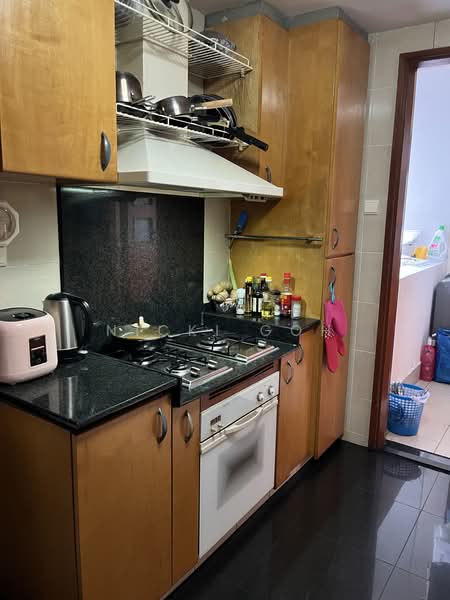 River Place, 66 Havelock Road, 3 Bedrooms, 1,496 sqft, Condominium For Rent, by Nicki Goh, 24471862 - PropertyGuru.com.sg