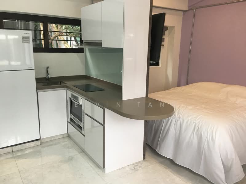 Niven Loft, , 1 Bedroom, 350 sqft, Apartment For Rent, by Melvin Tang, 24481657 - PropertyGuru.com.sg
