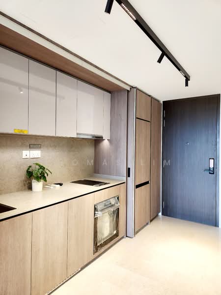 Avenue South Residence, 13 Silat Avenue, 1 Bedroom, 527 sqft, Apartment For Rent, by Thomas Lim, 24489527 - PropertyGuru.com.sg