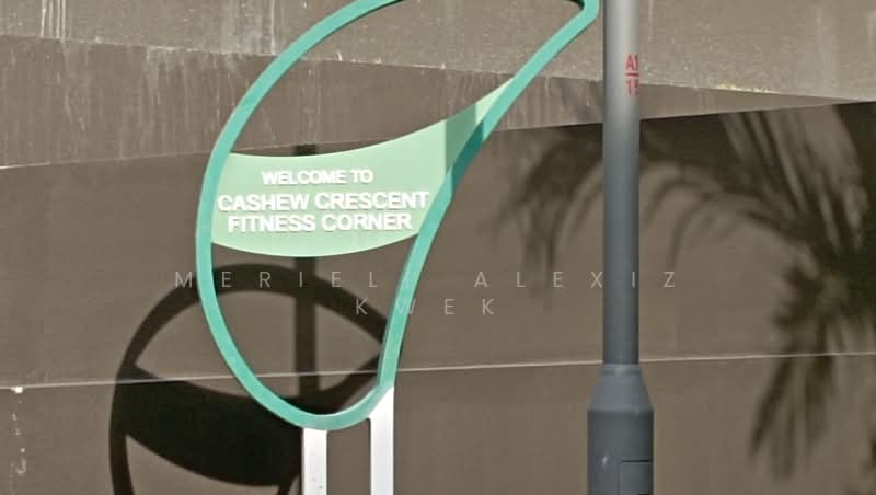 Cashew Green, 118 Cashew Road, 6 Bedrooms, 6,437 sqft, Corner Terrace For Sale, by Meriell Alexiz Kwek, 24490460 - PropertyGuru.com.sg