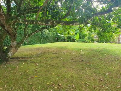 For Sale - Hilltop Elevated GCB Divisible D11