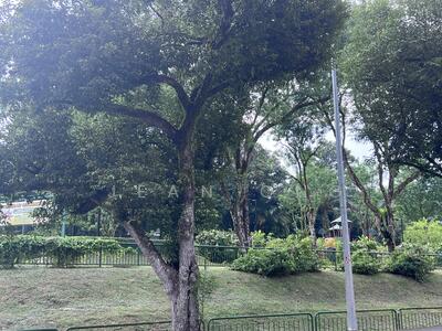 For Sale - ❤️❤️RECTANGLE PLOT. DUAL FRONTAGE. TRANQUIL. 1KM RGPS ☎️ JEAN 93571119