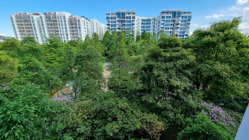 Amazing Greenery View!