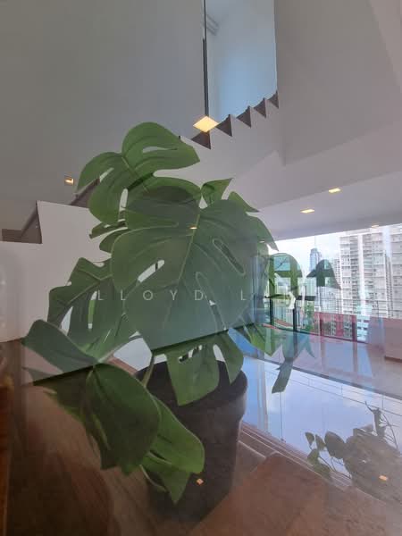 Leonie Gardens, 23 Leonie Hill, 4 Bedrooms, 3,100 sqft, Condominium For Rent, by Lloyd Lim, 24498365 - PropertyGuru.com.sg