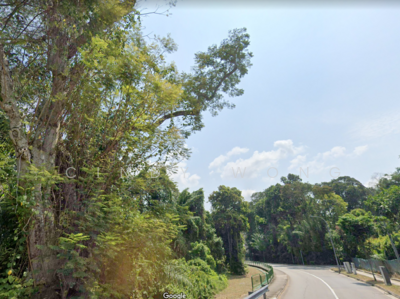 For Sale - Chatsworth, Tanglin, Jervois, Mount Echo vicinity