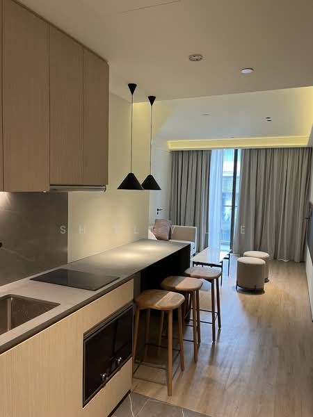 Maple Leaf Elite 1, 120 Rangoon Rd, 2 Bedrooms, 809 sqft, Apartment For Rent, by Shirley Lee, 24510509 - PropertyGuru.com.sg