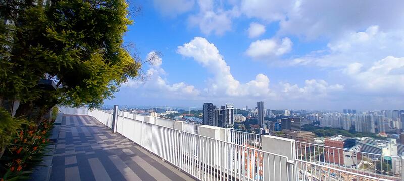Pinnacle @ Duxton, 1D Cantonment Road, Room Rental, 115 sqft, HDB Flat For Rent, by Kiwi Lim, 24512011 - PropertyGuru.com.sg