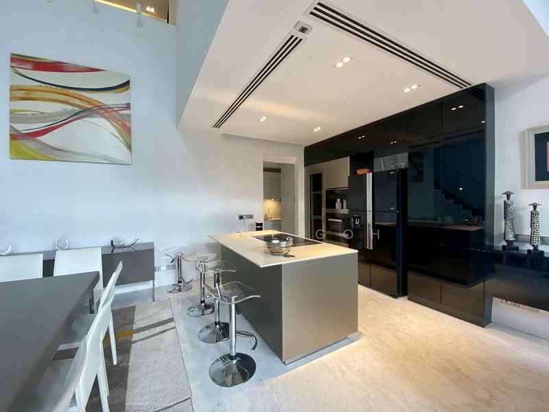 Skypark @ Somerset, 22 Saint Thomas Walk, 4 Bedrooms, 3,347 sqft, Apartment For Rent, by Elaine Goh, 24513957 - PropertyGuru.com.sg