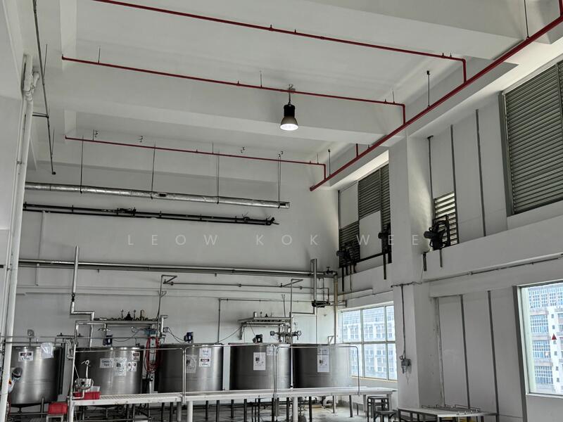 SFA approve food production / 18m warehouse food zone warehouse with racking @ Senoko / woodland, Senoko, 10,000 sqft, Warehouse For Rent, by Leow Kok Wee, 24514508 - CommercialGuru.com.sg