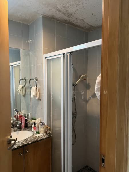 De Paradiso, 20 Martaban Road, 3 Bedrooms, 1,130 sqft, Condominium For Rent, by Samuel Ngiam Thong Yeap, 24514709 - PropertyGuru.com.sg