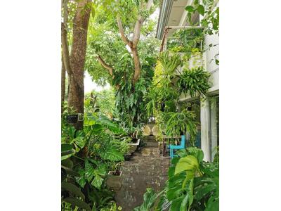 For Sale - Good Class Bungalow. Beautiful Flat plot⭐️富豪最爱的优质洋房⭐️ Dickson☎️9488.40.80