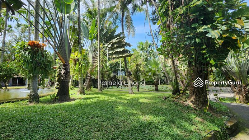 For Sale - UNSURPASSED PRIME ORCHARD ⭐️ SUBDIVISIBLE MIXED LANDED ⭐️ $19XX PSF ⭐️ HILLTOP ☎️ PAM 90228600
