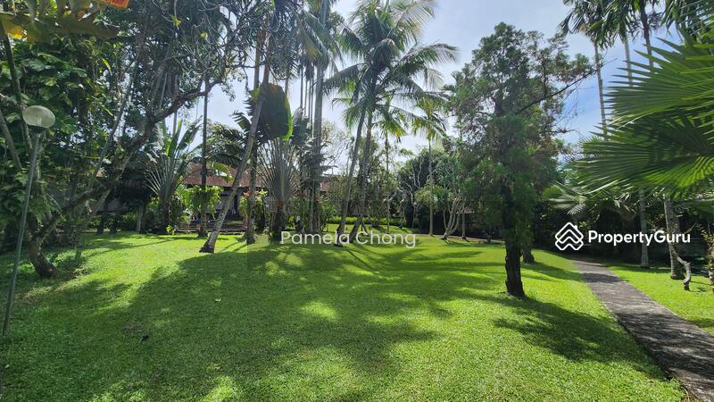 For Sale - UNSURPASSED PRIME ORCHARD ⭐️ SUBDIVISIBLE MIXED LANDED ⭐️ $19XX PSF ⭐️ HILLTOP ☎️ PAM 90228600