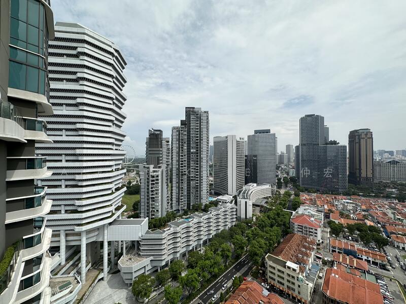 Singapore Flyer View