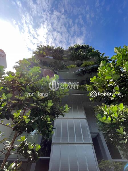 For Rent - The Oliv @ Balmoral