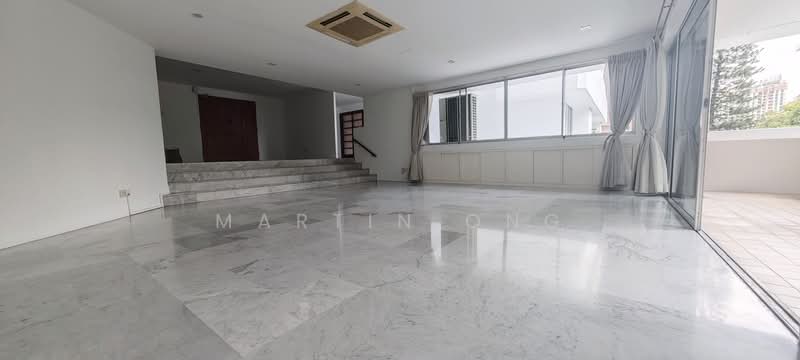 Leonie Towers, 28 Leonie Hill, 4 Bedrooms, 3,251 sqft, Apartment For Rent, by Martin Ong, 24525621 - PropertyGuru.com.sg