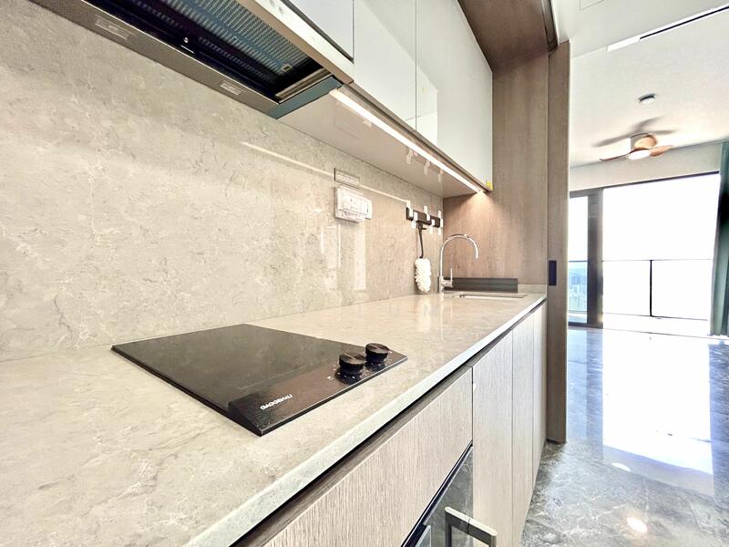 Avenue South Residence, 11 Silat Avenue, 1 Bedroom, 527 sqft, Condominium For Rent, by TT Lum, 24534624 - PropertyGuru.com.sg