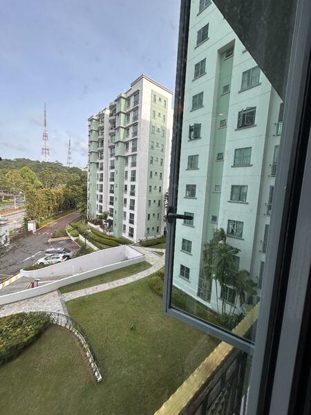 View from Living Room